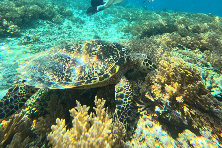 Lombok: Tour in barca delle isole Gili Nanggu, Sudak e Kedis