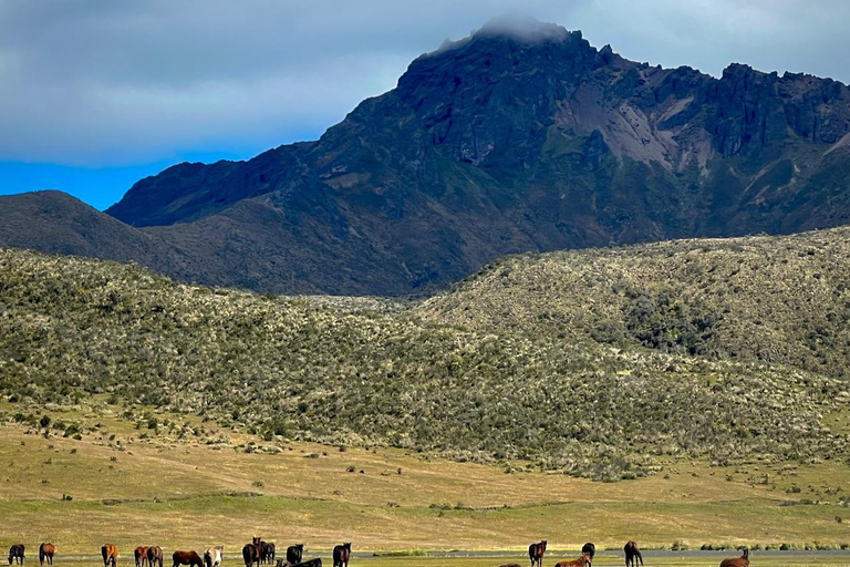 Hidden Corners of Cotopaxi: Slow Travel by 4x4