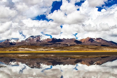 Arequipa: Half day visit to Salinas National Reserve
