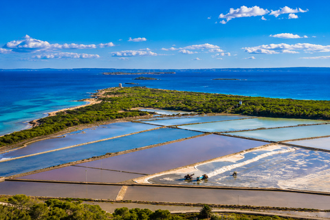 Ibiza: Flamingo Hike and Sunset in Ses Salines