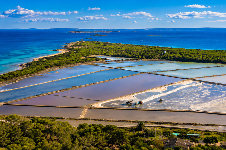 Ibiza: Flamingo Hike and Sunset in Ses Salines