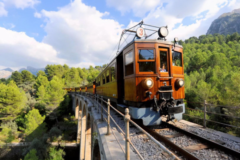 Halbtagestour zu den Wundern des Dorfes Soller in der Tramuntana