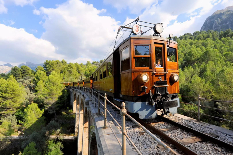 Halbtagestour zu den Wundern des Dorfes Soller in der Tramuntana