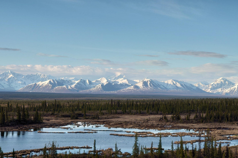 Authentical Denali Tour from Denali Park and Fairbanks