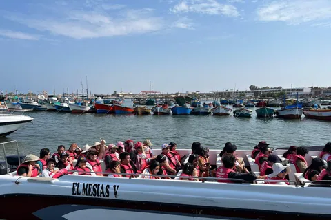 Tour da Lima alle Isole Palomino