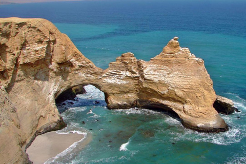 Full Day Paracas e Islas Ballestas