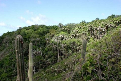 Tobago: Little Tobago Bird Sanctuary Rejs wycieczkowy łodzią