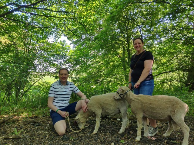 Visit Shropshire Sheep Trekking in Church Stretton