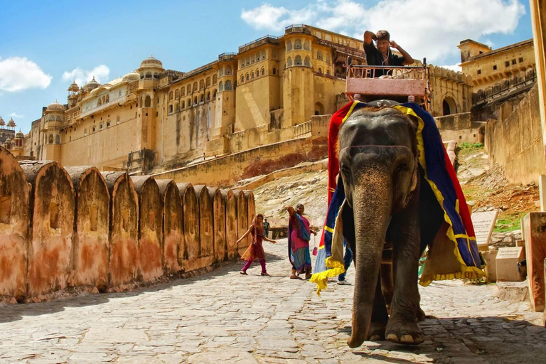 Jaipur: Amber Fort, Stepwell & Jal Mahal with Pickup Private Tour without Entry Tickets