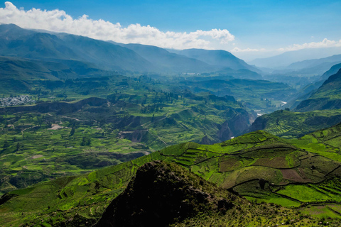 Arequipa: Ausflug nach Chivay und in den Colca Canyon