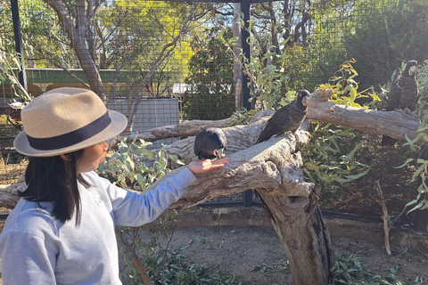 Perth: Kaarakin Black Cockatoo Conservation Tour & Hike