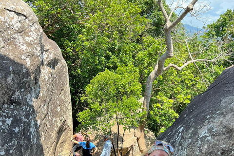 Depuis Kandy : Excursion d&#039;une journée à Sigiriya, Dambulla et Minneriya