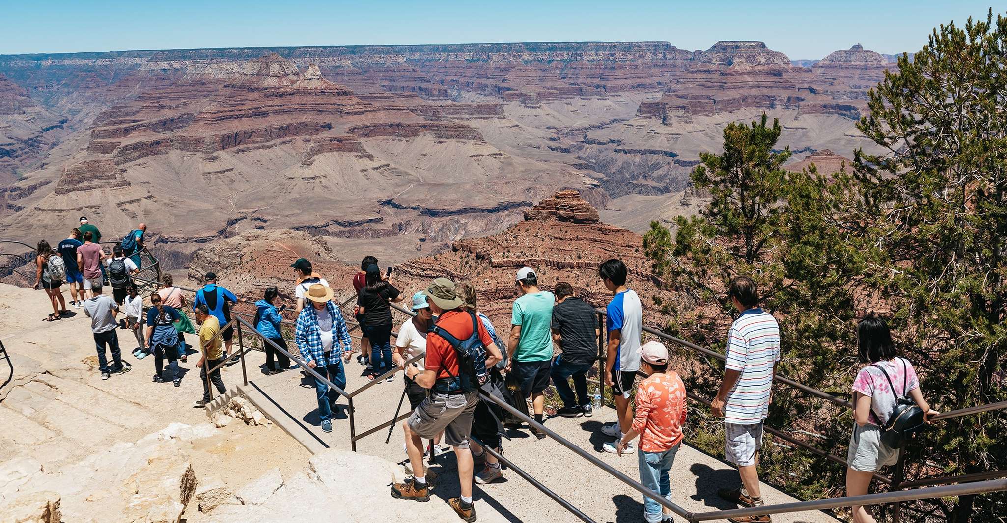 From Las Vegas, Grand Canyon South Rim Day Trip with Lunch - Housity