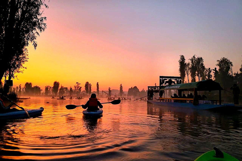 Xochimilco: Sunrise Kayaking, Breakfast and Axolotls Xochimilco: Sunrise Kayaking, Breakfast, and Axolotls