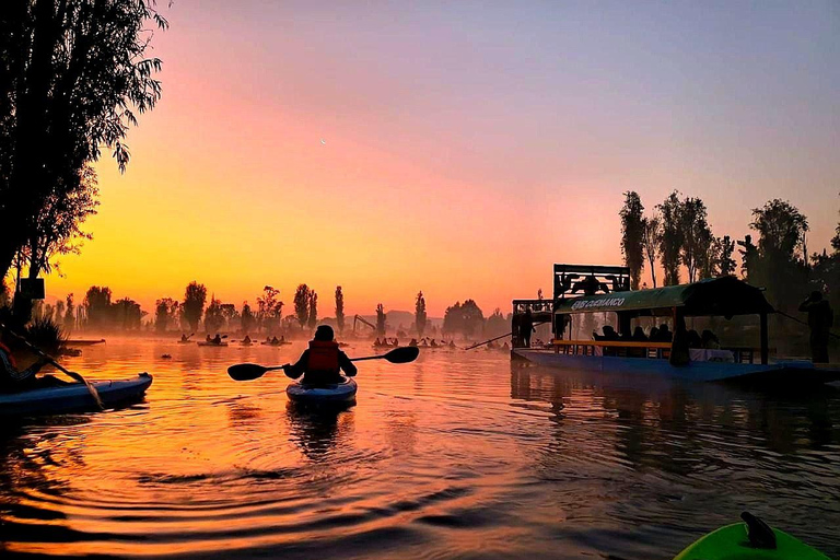 Xochimilco: Sunrise Kayaking, Breakfast and Axolotls Xochimilco: Sunrise Kayaking, Breakfast, and Axolotls