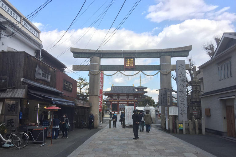 Osaka: En heldags Privat dagsutflykt med guidad stadsvandring i den historiska staden