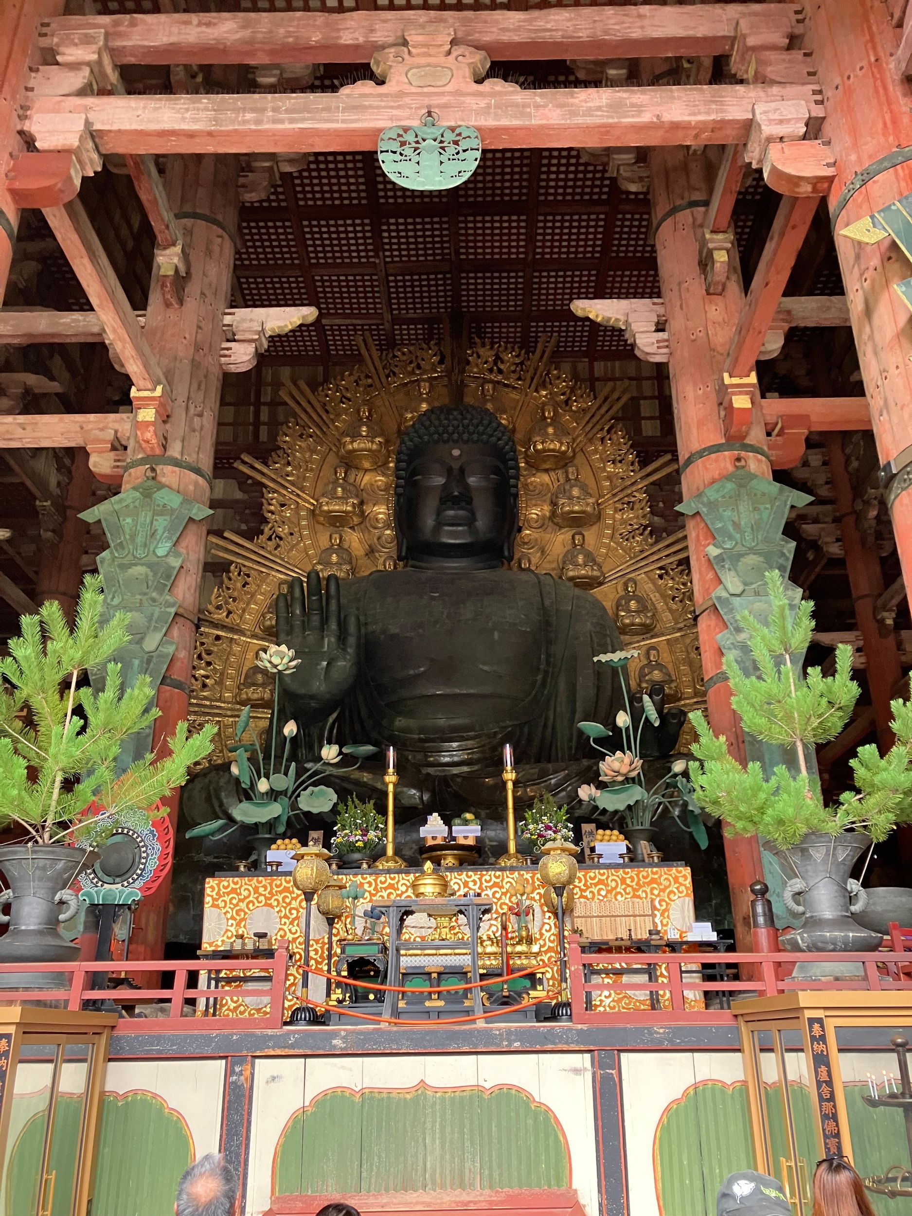 Ab Kobe: Nara Highlights – Private Tour mit einem lizenzierten Guide