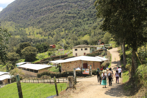 Bogotá: 3-tägige private Tour zu Kultur, Kaffee und Graffiti