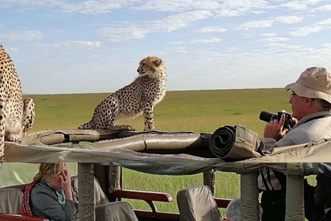 9 dias do melhor safári de vida selvagem do Quênia em Landcruiser 4x4Safari de luxo queniano de 9 dias