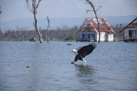 Lake Naivasha Tour: Kayak, Bike & Hike Through Hell's Gate! Lake Naivasha and Hell's Gate (from Naivasha)