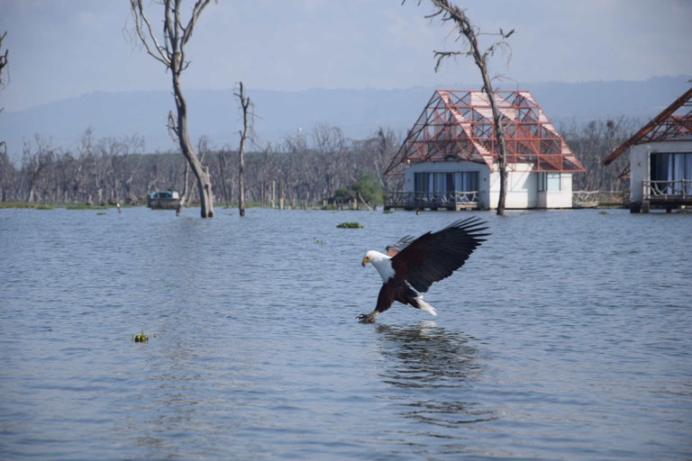 Lake Naivasha Tour: Kayak, Bike & Hike Through Hell's Gate! Lake Naivasha and Hell's Gate (from Naivasha)