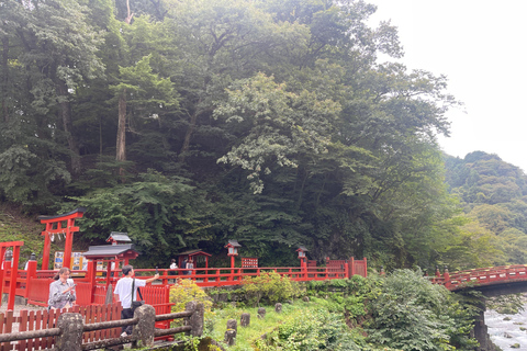 Tour privato di un giorno a Nikko con autista che parla inglese