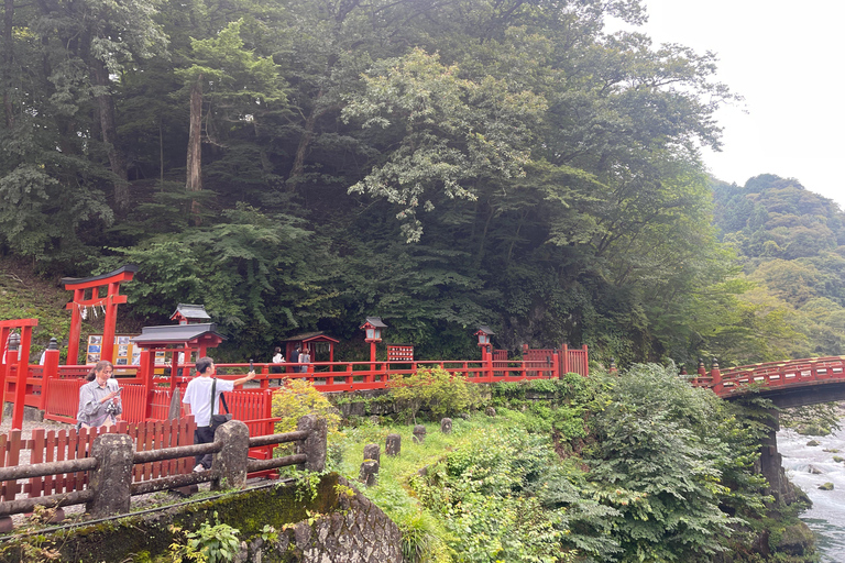 Nikko Tour de día completo en privado con conductor de habla hispana