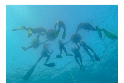 Snorkeling on the Côte Bleue