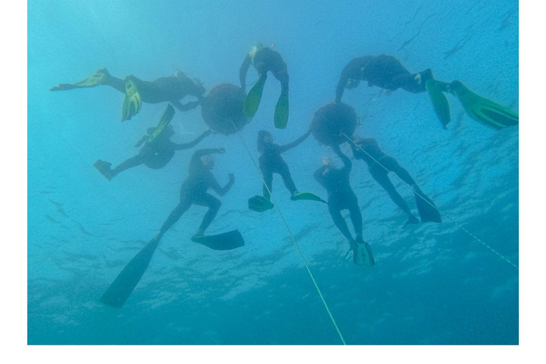Snorkeling on the Côte Bleue