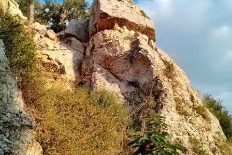 Walk through Lama S.Croce: Between Trulli and Olive Trees