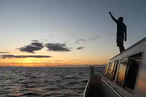 Oahu: Sunset Dolphin Watch & Snorkel Cruise Dinner & Drinks