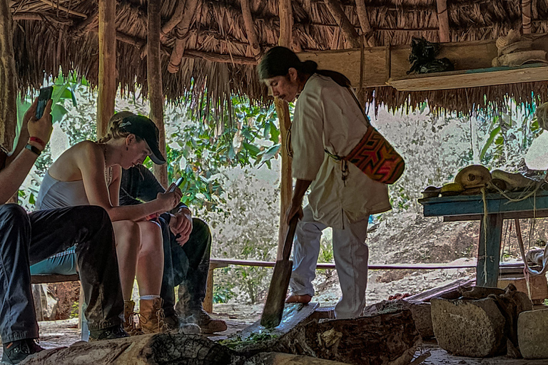 Santa Marta: Hummingbirds, Cocoa, and a Waterfall in Minca (with transfer) Santa Marta: Hummingbirds, Cocoa, and Waterfall in Minca (with transfer)
