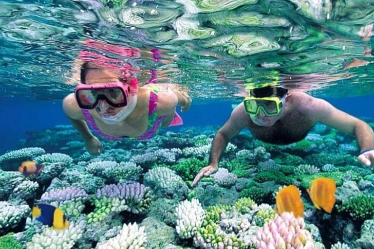 3-dniowa przygoda na Zanzibarze: Wyspa więzienna, wycieczka po przyprawach i Mnemba