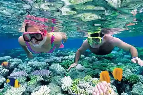 Da Cidade de Pedra: Golfinhos de Mnemba e snorkeling com almoço