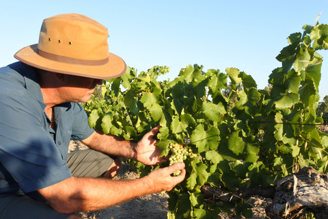 Découverte des vins de la Swan Valley : Visite privée au départ de Perth