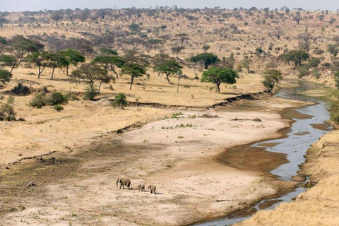 Arusha: Excursão de 3 dias ao Parque Nacional Tarangire e ao Lago Natron