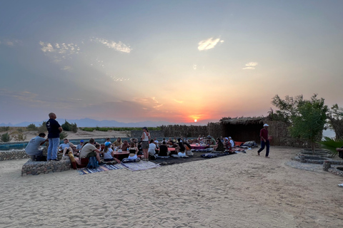 Giro in cammello con tramonto e osservazione delle stelleServizio di prelievo in hotel a hurghada