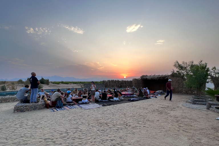 camel ride with sunset and star watchingpickup from hotels inside hurghada