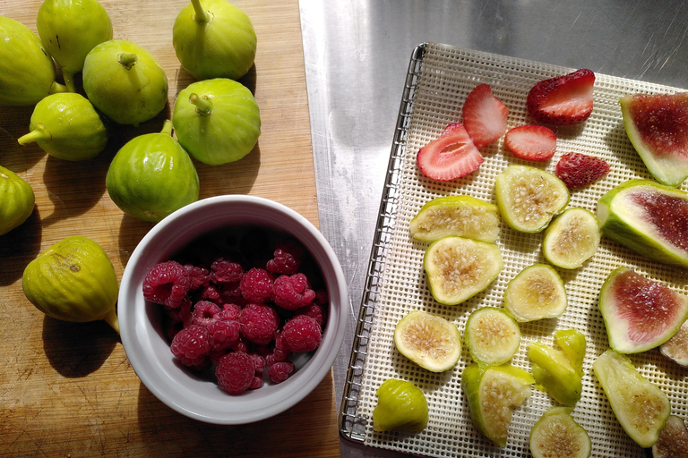 Trancoso: Tour ecologico della fattoria con degustazione