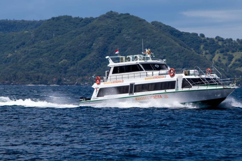 Sanur: Nusa Penida, Lembongan, or Gili Islands Boat Ticket One Way Fastboat Ticket From Sanur to lembongan Island