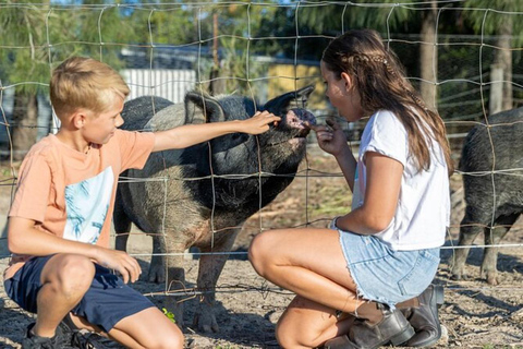 Brisbane: Trevena Glen Farm 1 uur dierenervaring