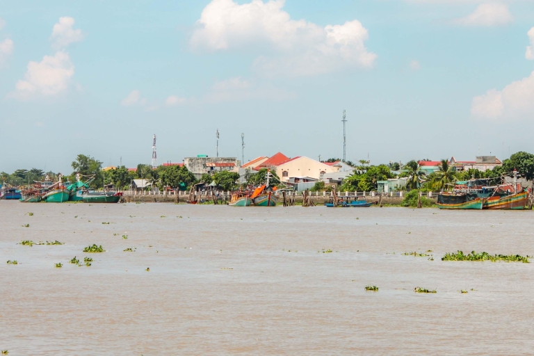 Desde Ho Chi Minh: tour privado de 1 día al delta del Mekong