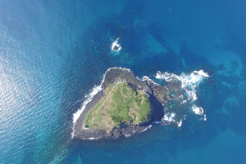 Snorkling med sköldpaddor på Cook Island Marine Rserve