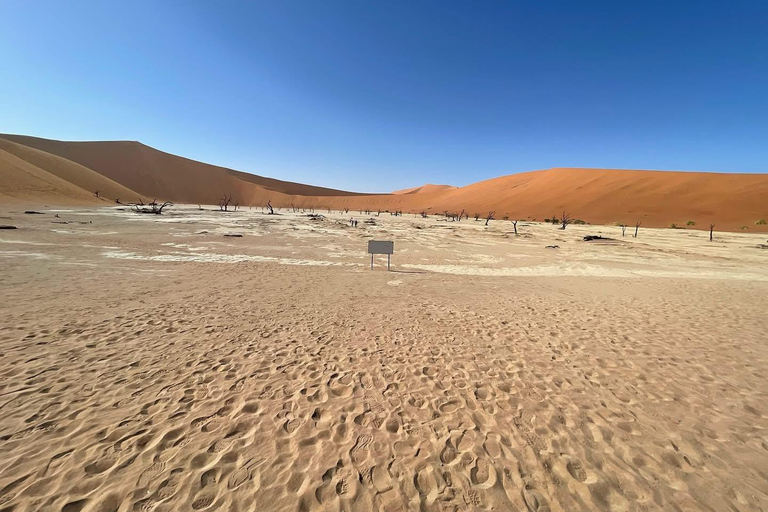 From Windhoek & Swakop: Namib Desert 2-Night Tour with Meals