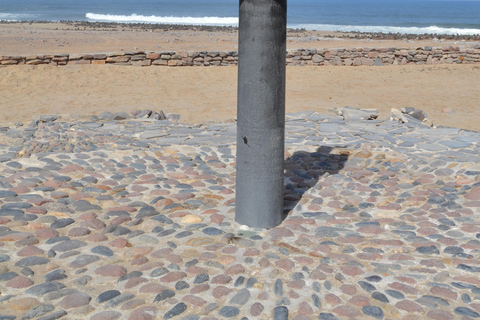 Cape Cross, Seals and River Desert Nature Tour [New Route]