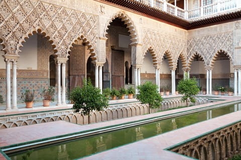 Orange tree courtyard near Seville Cathedral