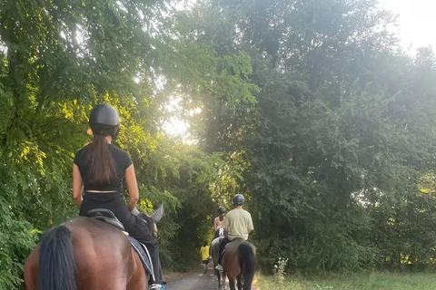 Varese: Horseback Riding through Woodlands and Meadows with Lunch in Fagnano Olona Lunch