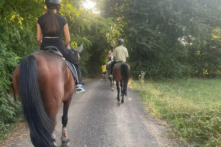 Varese: Horseback Riding through Woodlands and Meadows with Lunch in Fagnano Olona Lunch