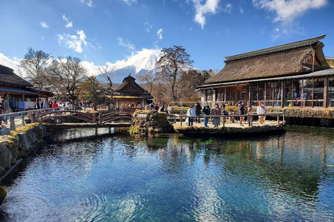 Mt Fuji Sightseeing Private tour with English Speaking Guide