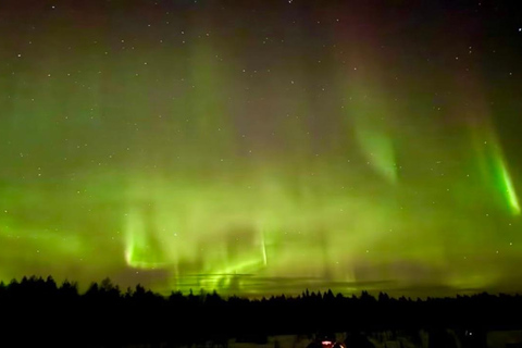 Rovaniemi: Prywatna wyprawa Aurora Borealis o północy